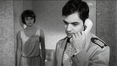 Who Killed Teddy
        Bear